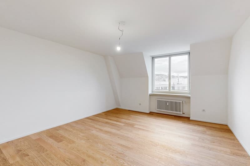 Exclusive attic apartment with spacious roof terrace in the heart of Zurich (5)