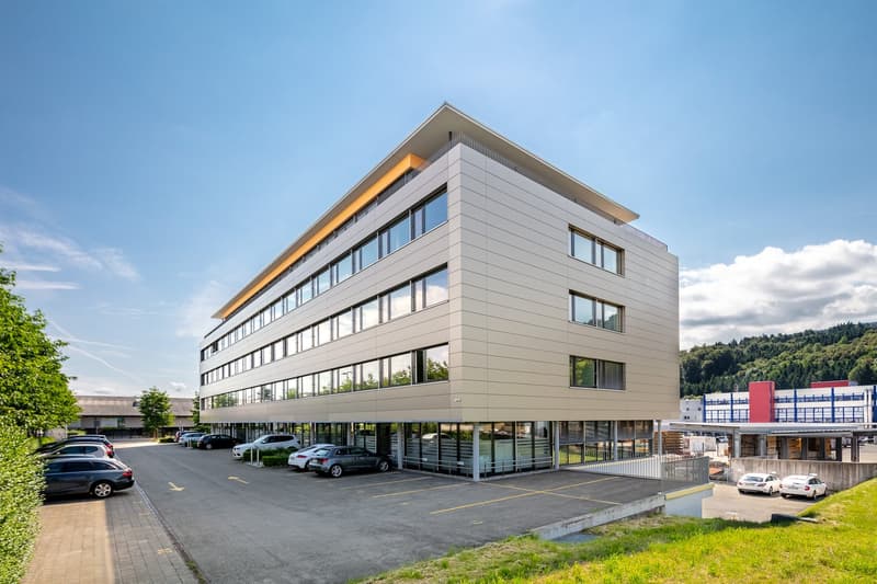 Ihr neuer Geschäftsstandort: 54 m2 Büro-/Gewerbefläche in Freienbach (1)