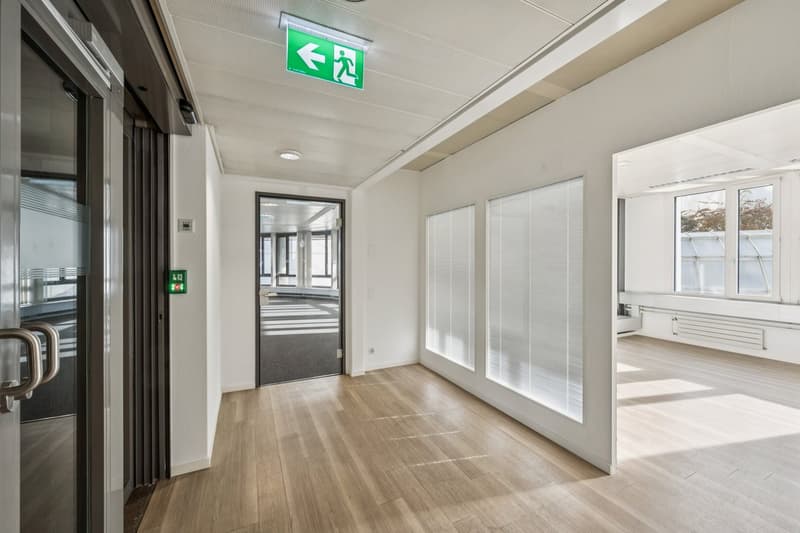 Open hallway, light wooden floor, glass door, window with blinds