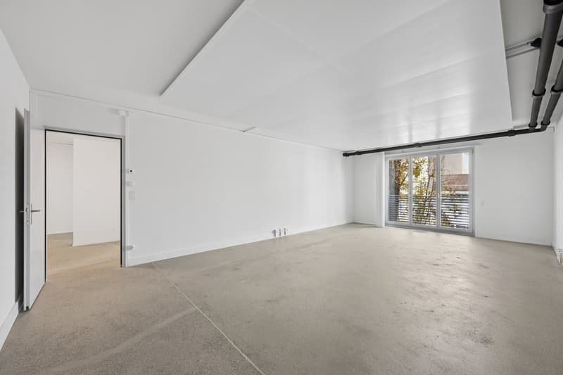 Empty room, white walls, concrete floor, open door, large windows