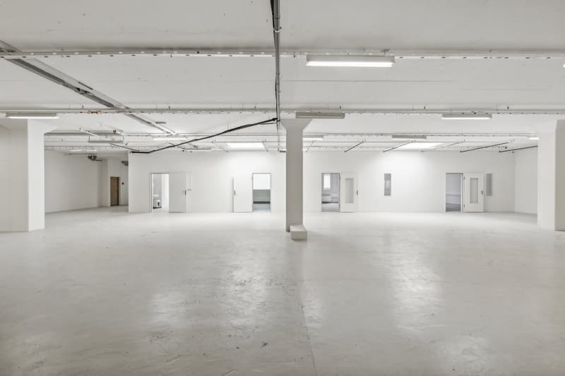 Flexible Flächenlösungen von 1'481 m² bis 2'500 m² zu attraktiven Konditionen (8)
