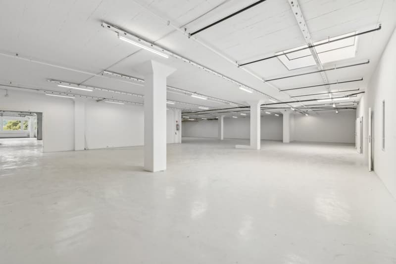 Flexible Flächenlösungen von 1'481 m² bis 2'500 m² zu attraktiven Konditionen (7)