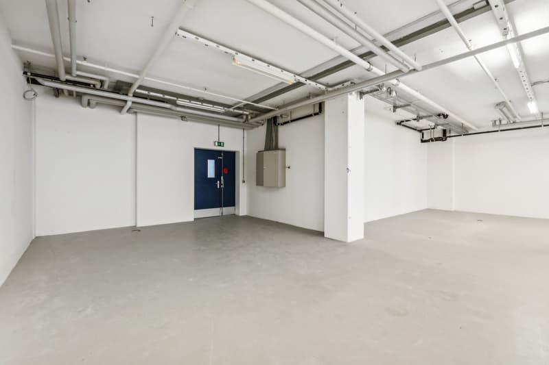 Flexible Flächenlösungen von 1'481 m² bis 2'500 m² zu attraktiven Konditionen (9)