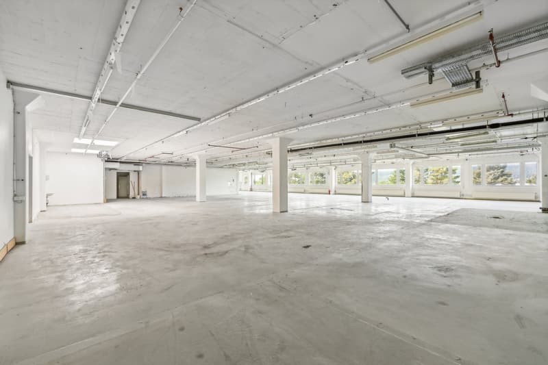 Flexible Flächenlösungen von 1'481 m² bis 2'500 m² zu attraktiven Konditionen (4)