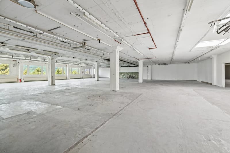 Flexible Flächenlösungen von 1'481 m² bis 2'500 m² zu attraktiven Konditionen (3)