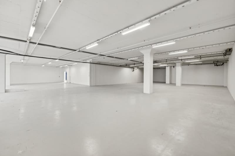Flexible Flächenlösungen von 1'481 m² bis 2'500 m² zu attraktiven Konditionen (10)