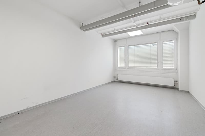 Flexible Flächenlösungen von 1'481 m² bis 2'500 m² zu attraktiven Konditionen (12)