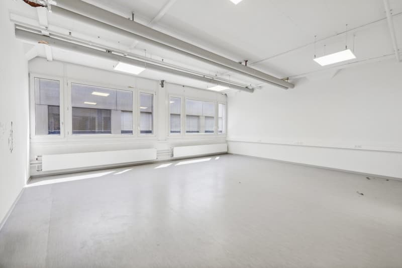 Flexible Flächenlösungen von 1'481 m² bis 2'500 m² zu attraktiven Konditionen (11)