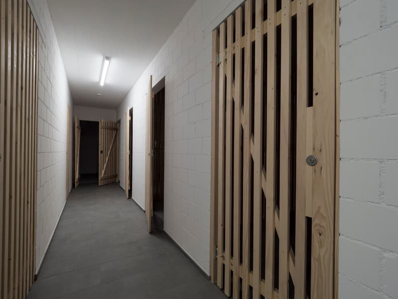 4.5 Zimmerwohnung im 1.OG mit 111 m2, Balkon 10.5 m2, Richtung Süden (9)