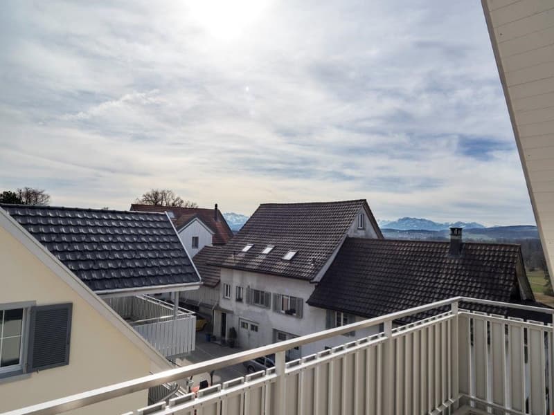 Appartamento di 3.5 locali con balcone di 120 m2 esposto a sud (8)