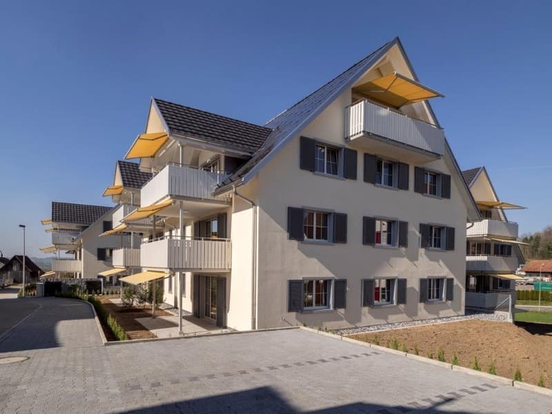Appartamento di 3.5 locali con balcone di 120 m2 esposto a sud (2)