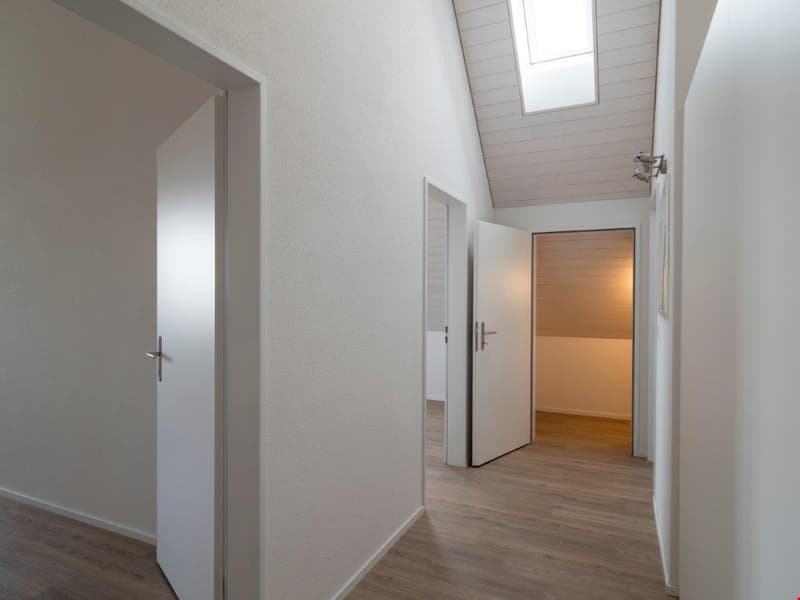 Appartamento di 3.5 locali con balcone di 120 m2 esposto a sud (9)
