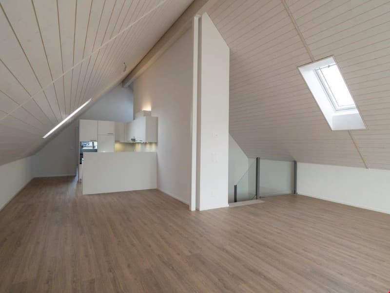 Appartamento di 3.5 locali con balcone di 120 m2 esposto a sud (7)