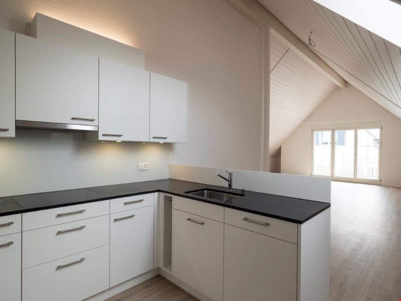 Appartamento di 3.5 locali con balcone di 120 m2 esposto a sud (4)
