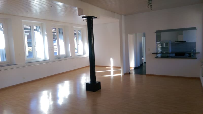 Prachtiges, helles Loft, kürzlich renoviert! (3)