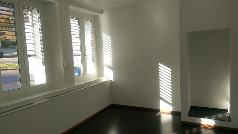 Prachtiges, helles Loft, kürzlich renoviert! (6)