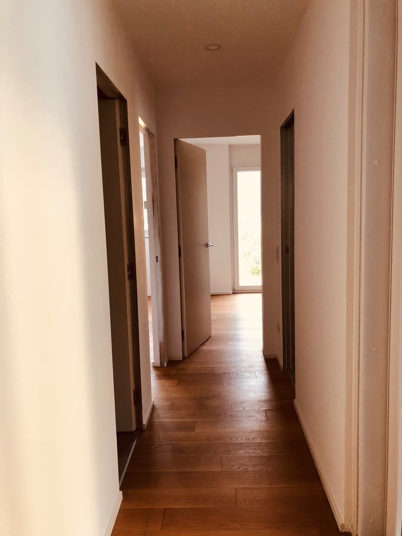 Appartamento moderno di 3.5 locali con vista panoramica a Bellinzona (8)