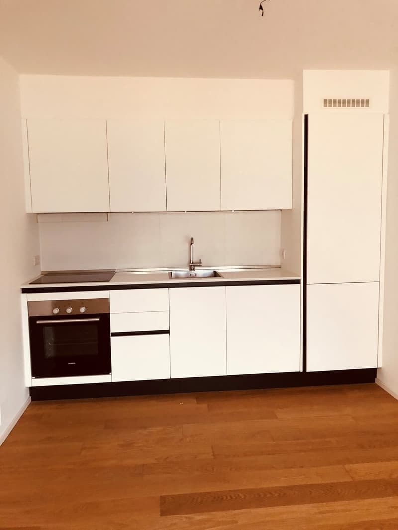 Appartamento moderno di 3.5 locali con vista panoramica a Bellinzona (4)
