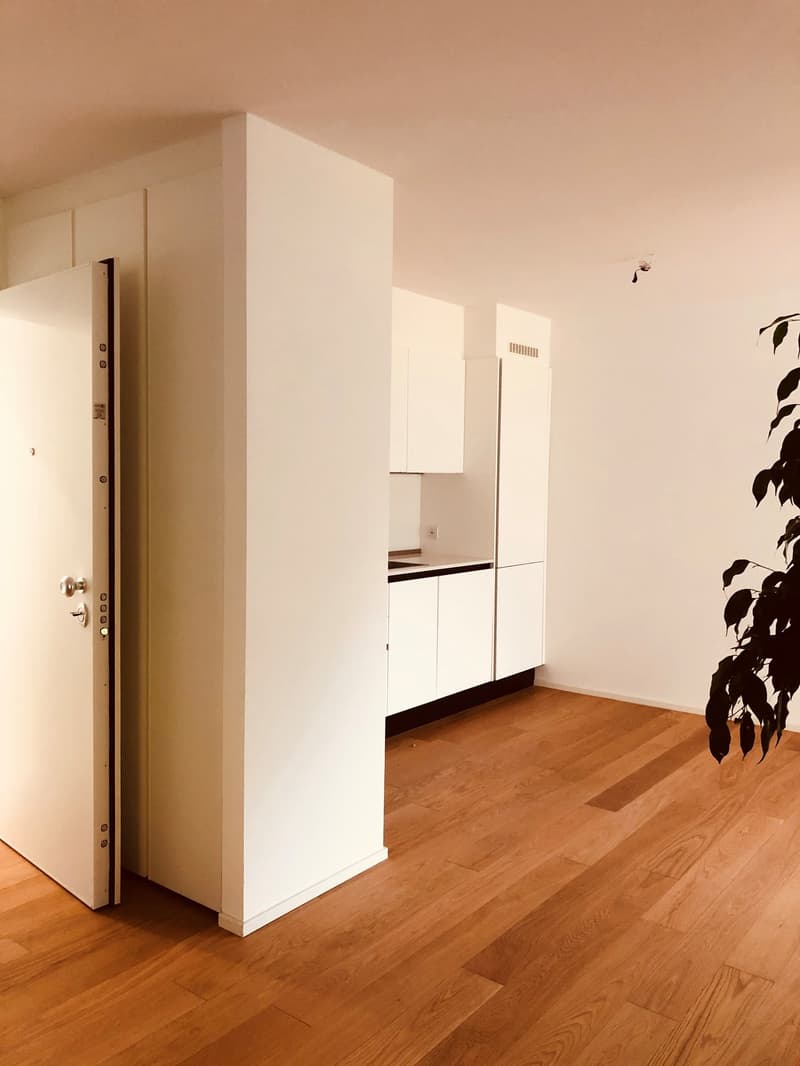 Appartamento moderno di 3.5 locali con vista panoramica a Bellinzona (3)