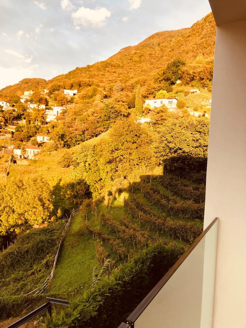 Appartamento moderno di 3.5 locali con vista panoramica a Bellinzona (12)