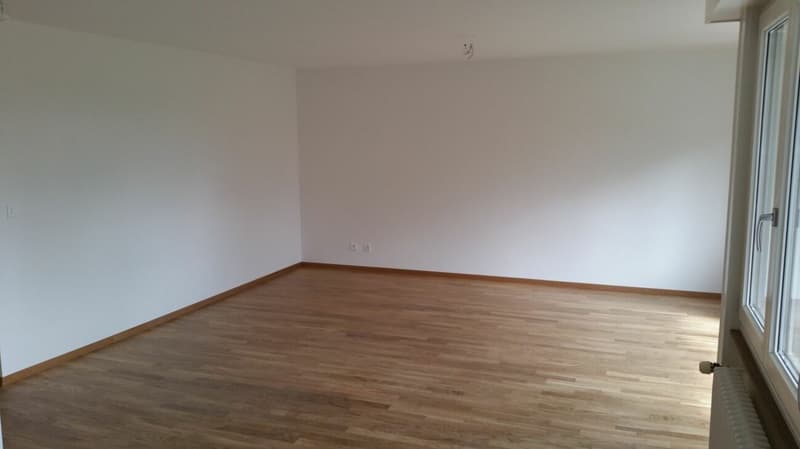 Bello appartamento di 3.5 locali con balcone spazioso! (4)