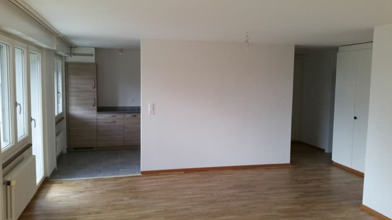 Bello appartamento di 3.5 locali con balcone spazioso! (3)