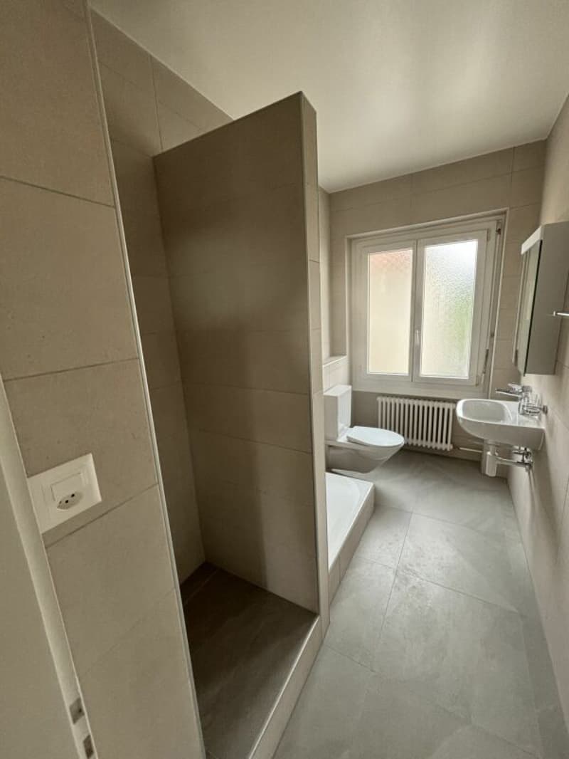 3-room apartment recently renovated with balcony (7)