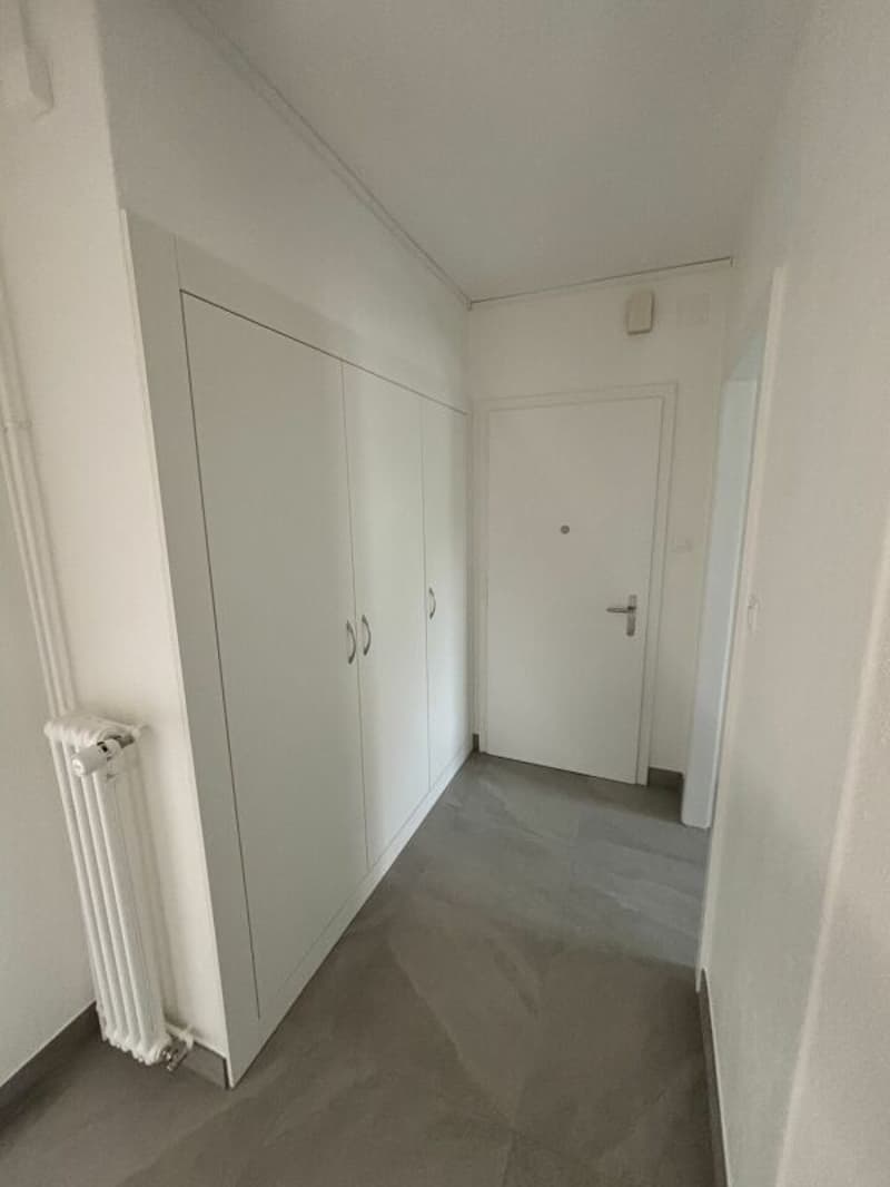 3-room apartment recently renovated with balcony (3)