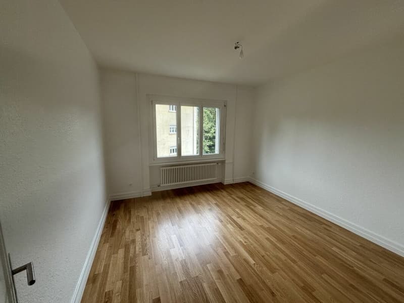 3-room apartment recently renovated with balcony (4)