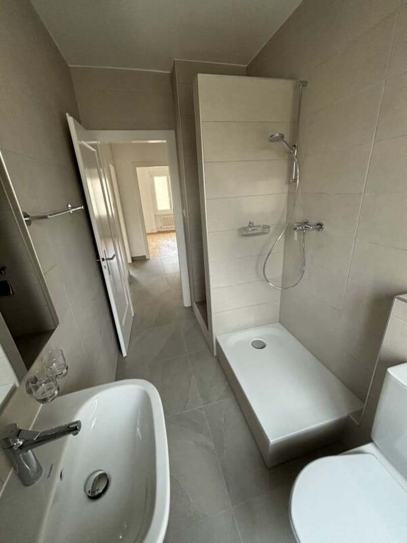 3-room apartment recently renovated with balcony (6)