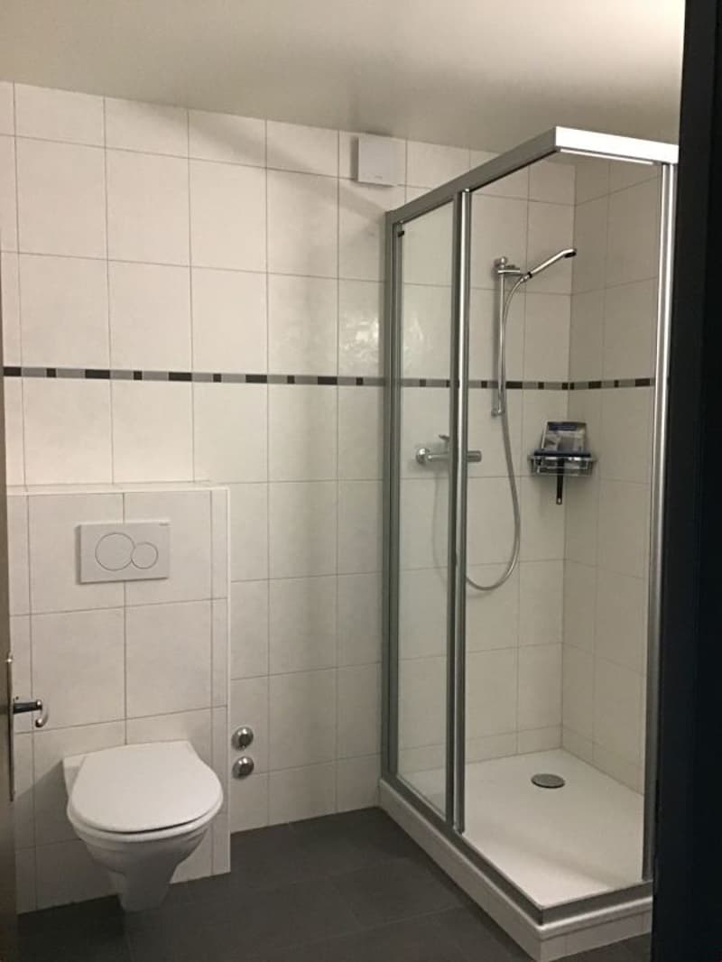 Zweizimmerwohnung mit Balkon! (4)