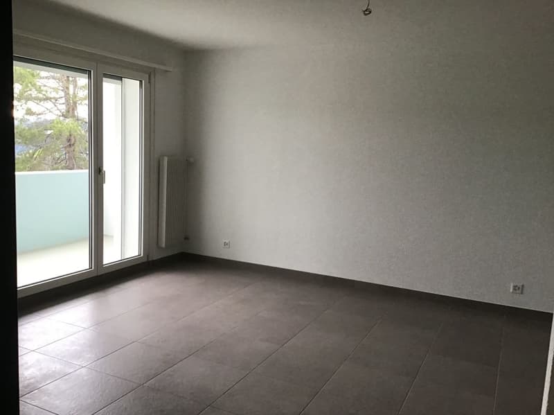 Zweizimmerwohnung mit Balkon! (5)
