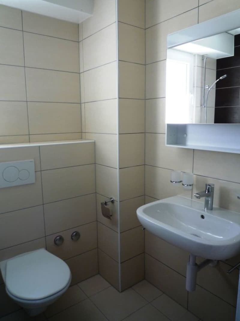 Beautiful 4-room apartment in quiet neighborhood close to the lake! (5)