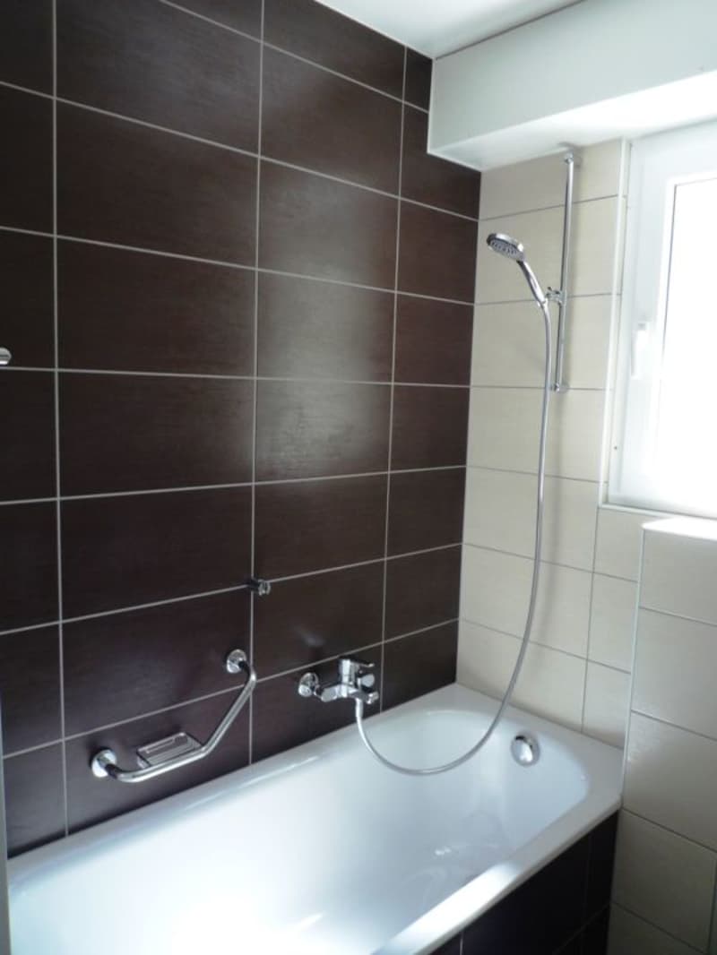 Beautiful 4-room apartment in quiet neighborhood close to the lake! (6)