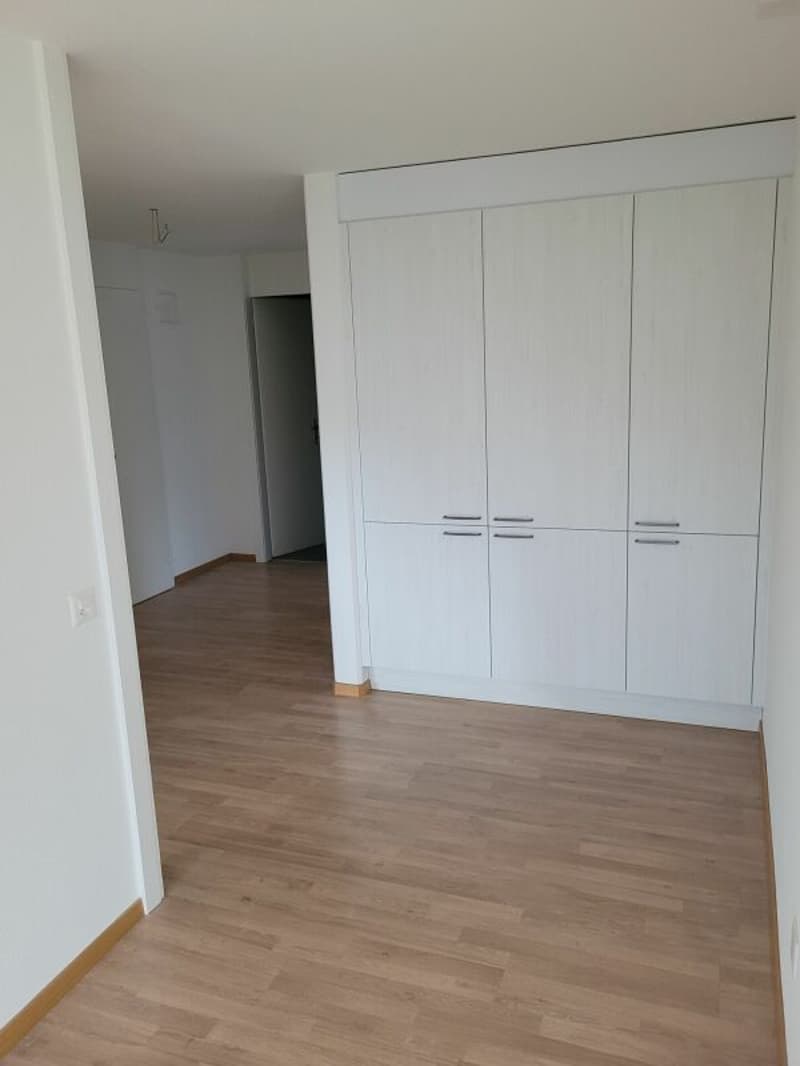 Appartamento recentemente ristrutturato! (5)