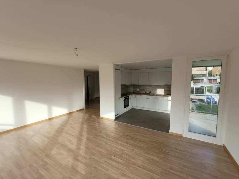 Appartamento recentemente ristrutturato! (3)