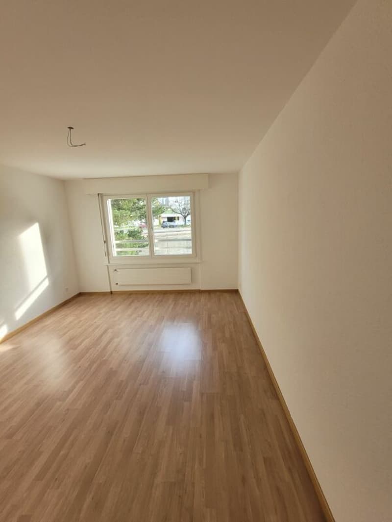 Appartamento recentemente ristrutturato! (4)