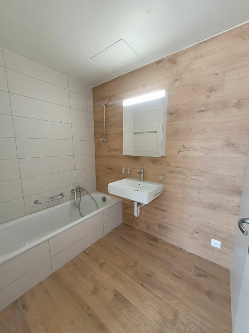 Appartement familial de 4.5 pièces rénové (7)