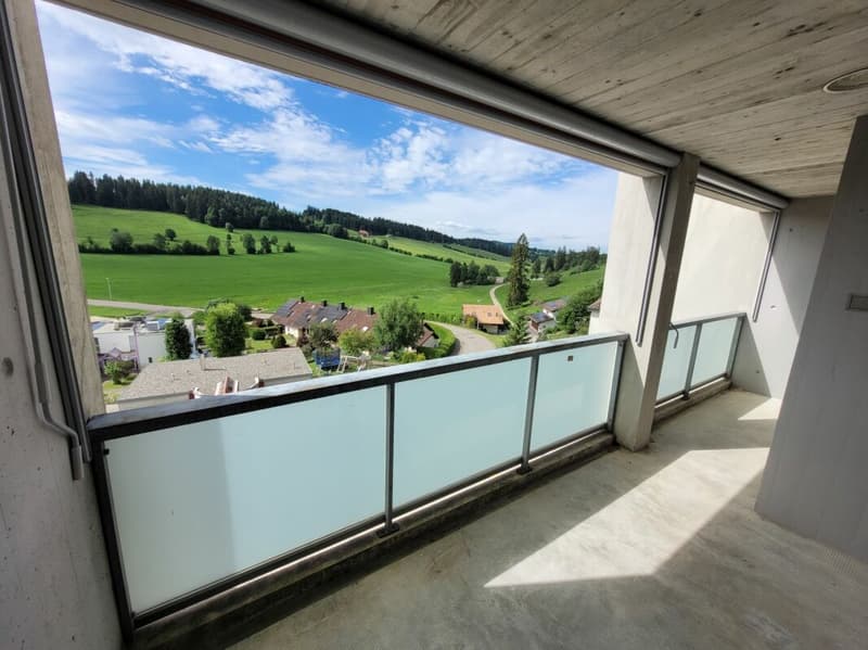Appartement familial de 4.5 pièces rénové (9)