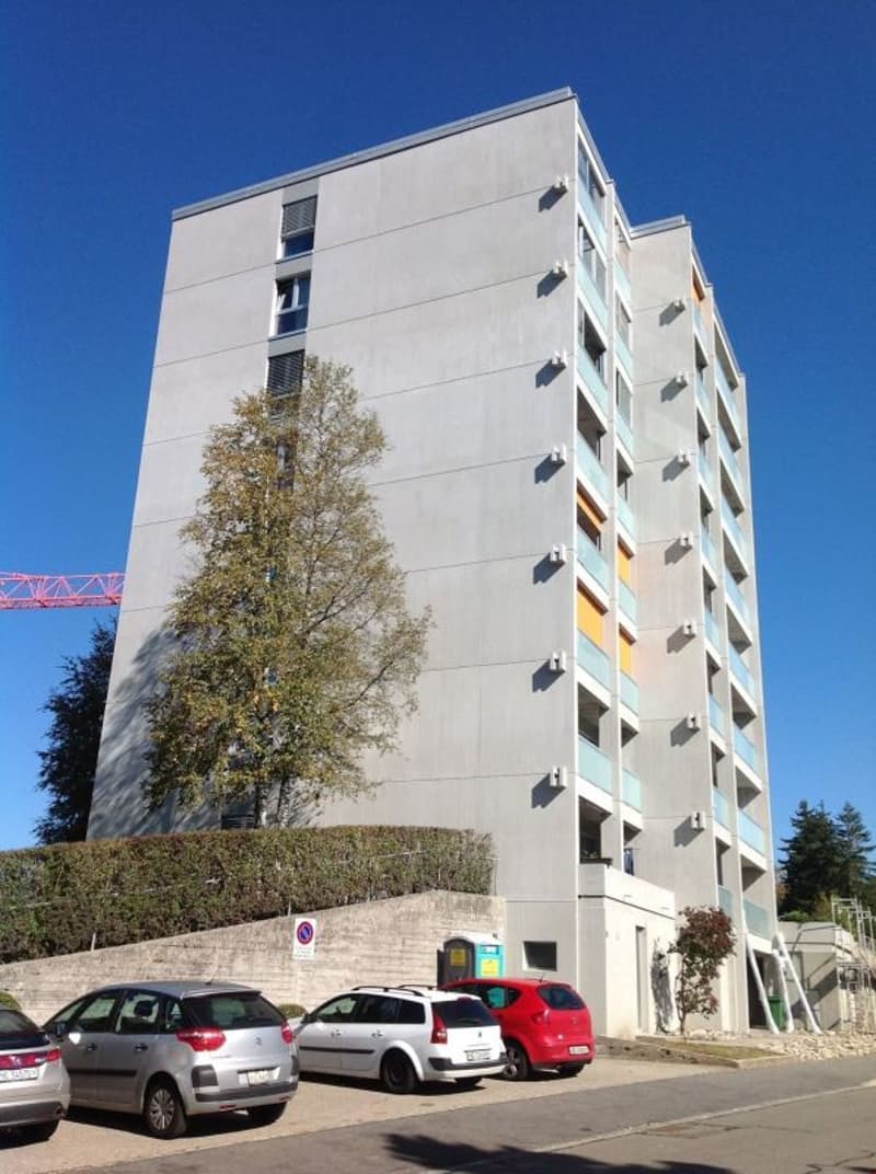 Appartement familial de 4.5 pièces rénové (10)