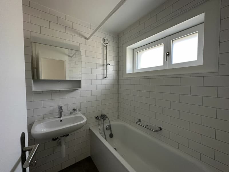 Beautiful 3.5-room apartment completely renovated! (7)