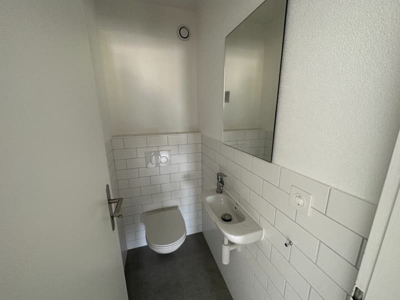 Beautiful 3.5-room apartment completely renovated! (5)