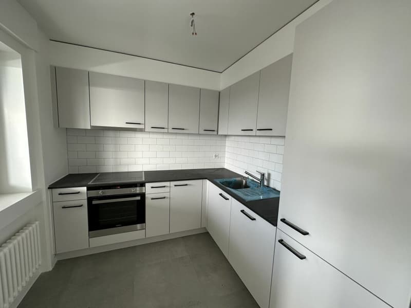 Beautiful 3.5-room apartment completely renovated! (1)