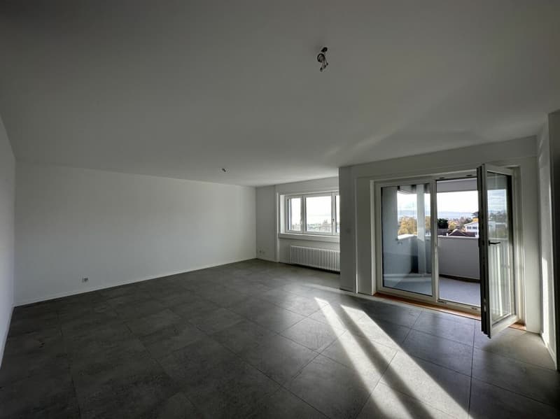 Beautiful 3.5-room apartment completely renovated! (4)