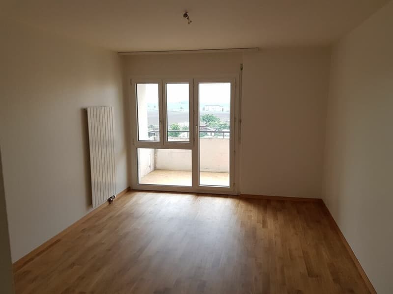 Bel appartement de 4 pièces entièrement rénové en 2018 dans quartier calme ! (5)