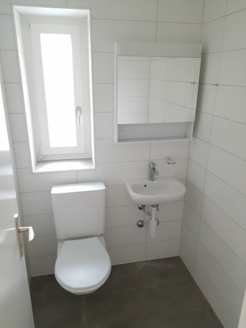 Bel appartement de 4 pièces entièrement rénové en 2018 dans quartier calme ! (7)