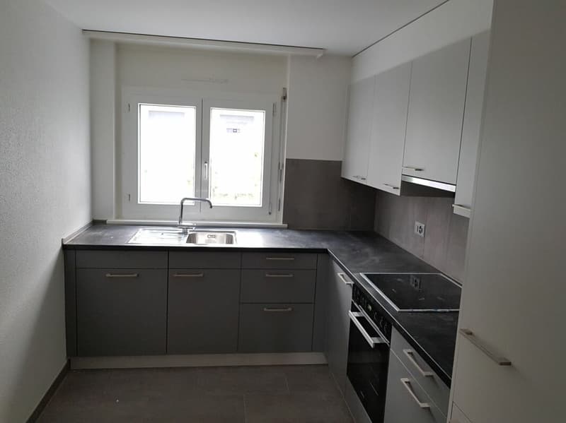 Bel appartement de 4 pièces entièrement rénové en 2018 dans quartier calme ! (1)