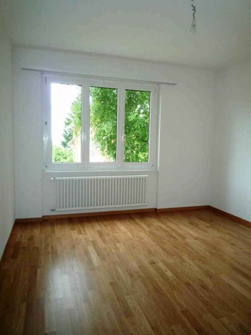 Bello appartamento di 3 locali con balcone! (3)