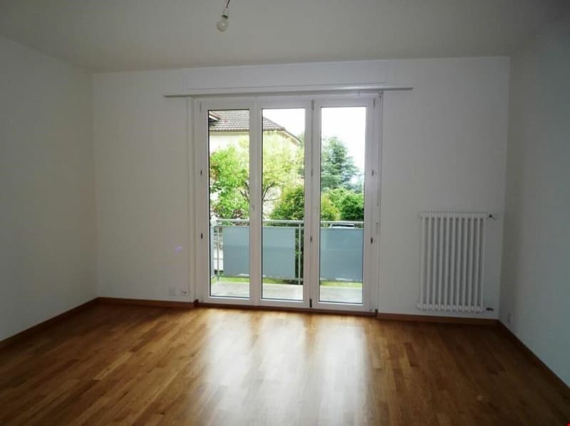 Bello appartamento di 3 locali con balcone! (5)