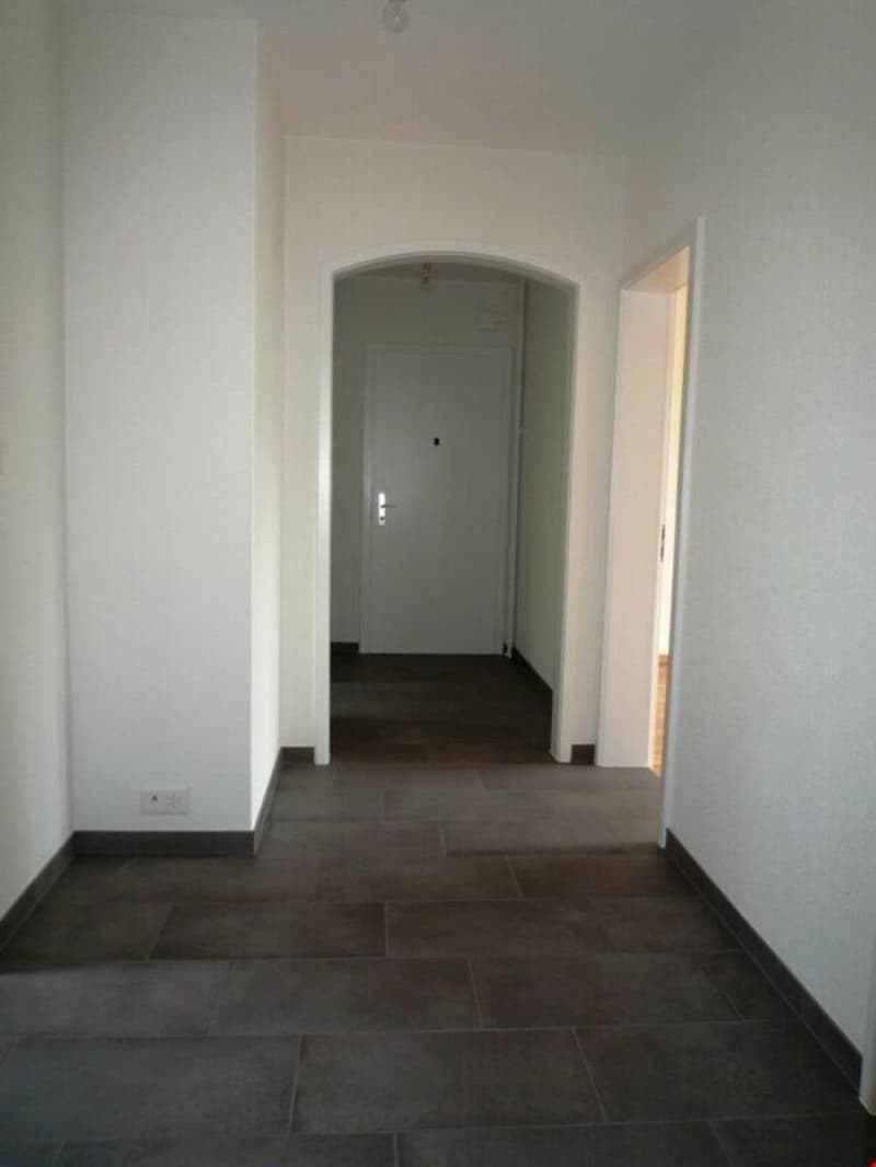 Bello appartamento di 3 locali con balcone! (7)